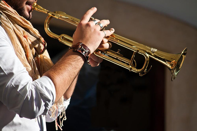 Top Trumpets for Adult Beginners | Normans Blog