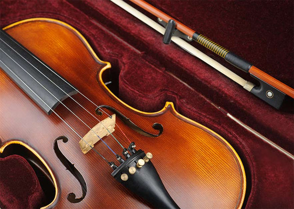 A Guide To the Stentor Violins Range | Normans Blog