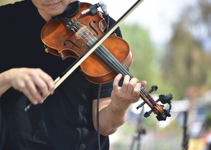 Stentor vs Forenza - Student Violin Comparison | Normans Blog