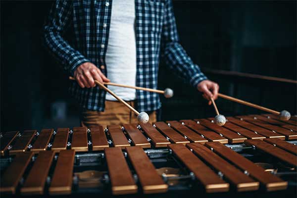 Xylophones in Percussion Instruments & Accessories 