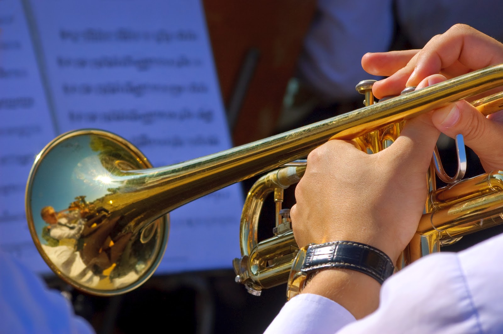 The Brass Instrument Family: French Horns, Trombones, Low Brass