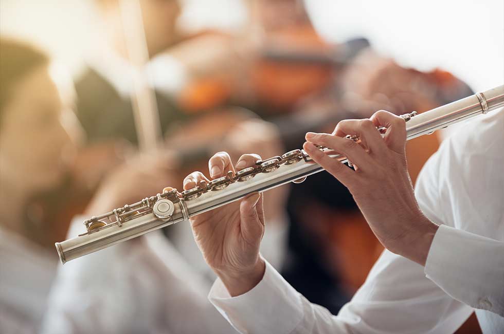 Flute gig bag