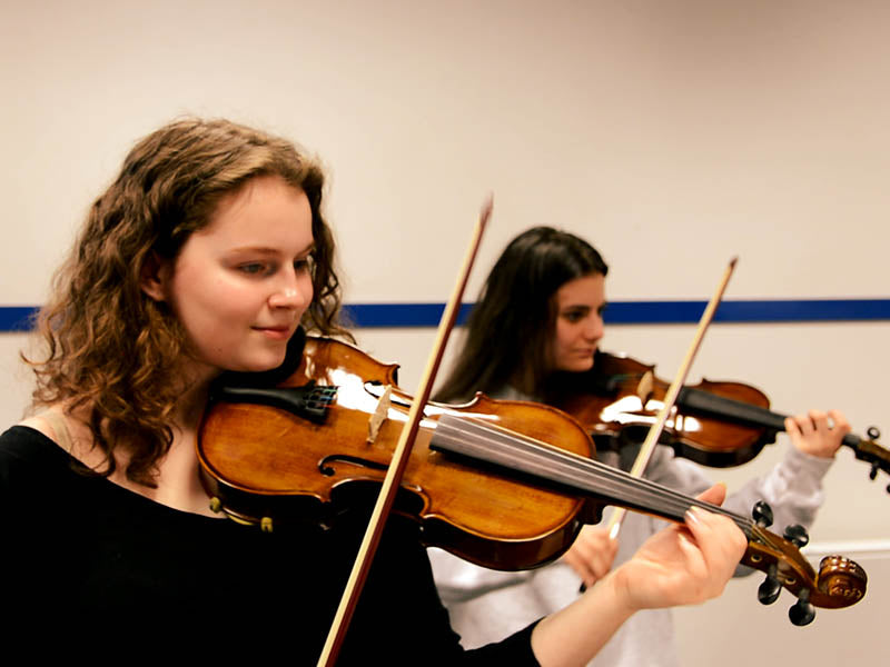 String Instruments List