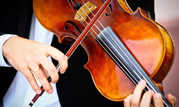 3 of the Best Violas for Beginners | Normans Blog
