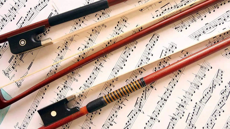 3 Of The Best Violin Bows | Normans Blog
