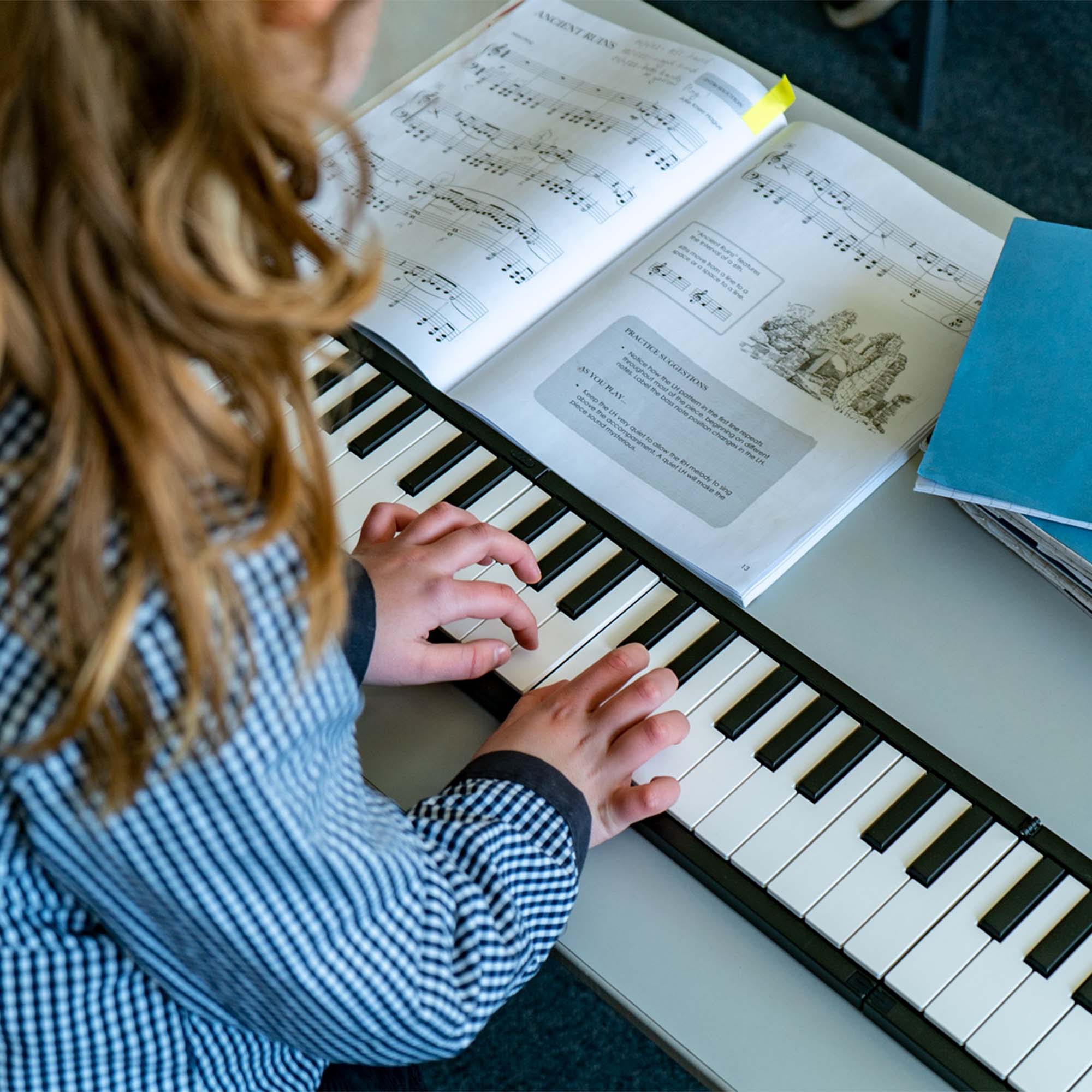 Carry-On 88 Key Touch Sensitive Folding Piano#Colour_Black