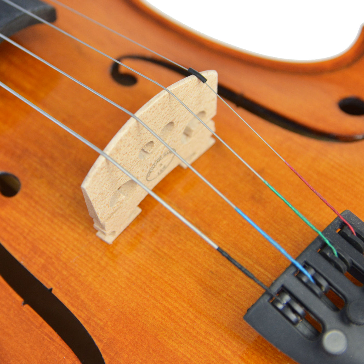 Forenza Prima 2 Viola Outfit - 14 Inch - Rental