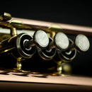 John Packer JP171 Smith-Watkins Bb Cornet
