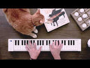 Carry-On 49 Key Folding Piano