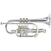 How To - Clean A Cornet