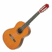 Reasons Why to Learn & Play the Guitar