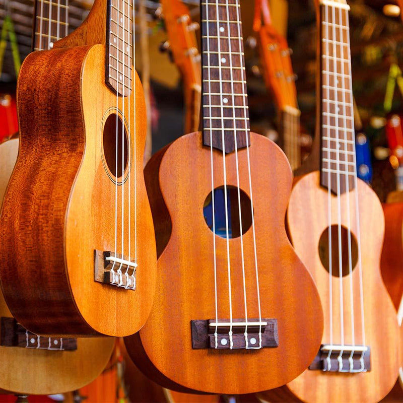 Top Ukulele's for Adult Beginners