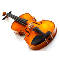 Parts of a Violin Explained