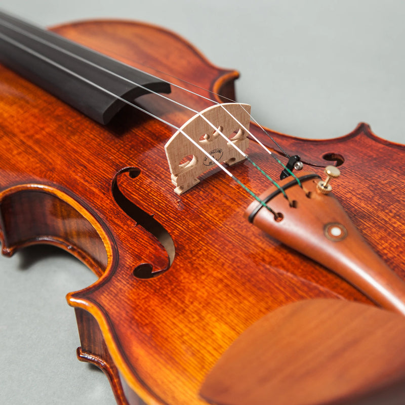 violin-5-best-normans-forenza
