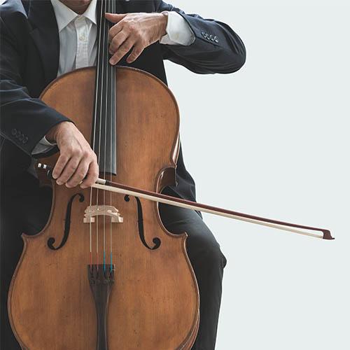 cello-accessories