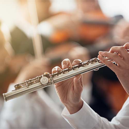 Different Types of Flute | Normans Blog