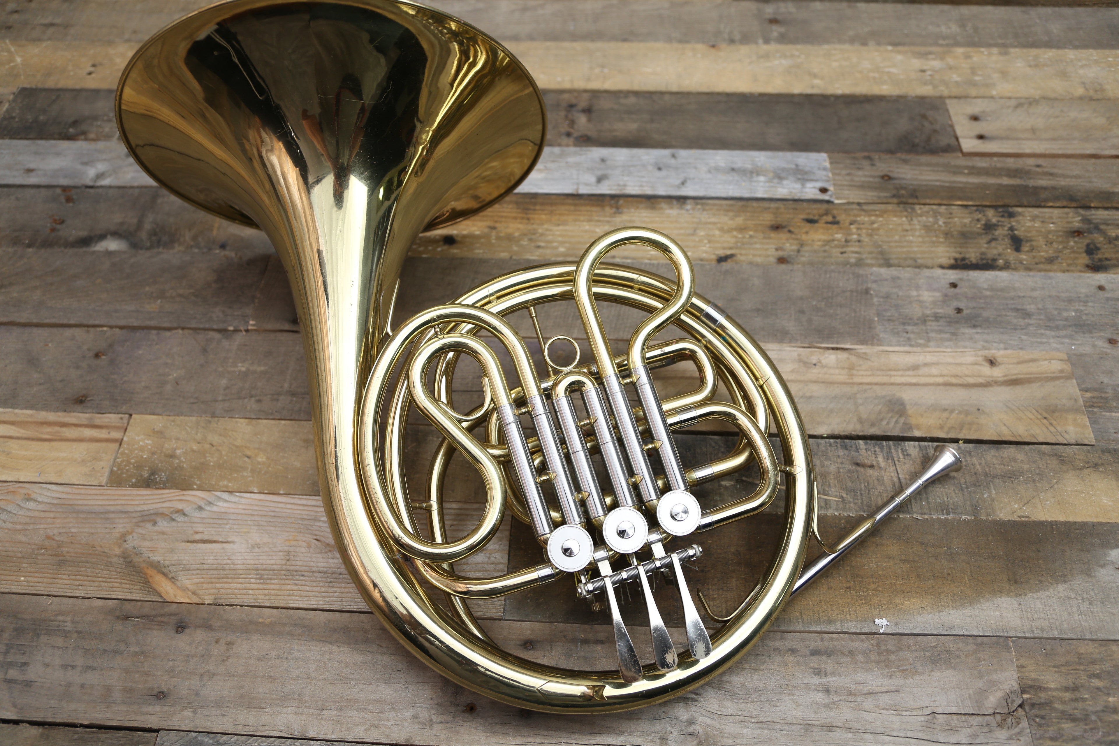 Cool Facts About The French Horn at Joseph Heil blog