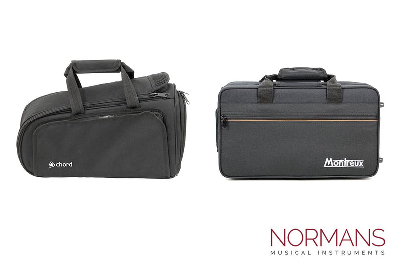 Hard Case or Gig Bag? Which one should I choose for my Instrument?