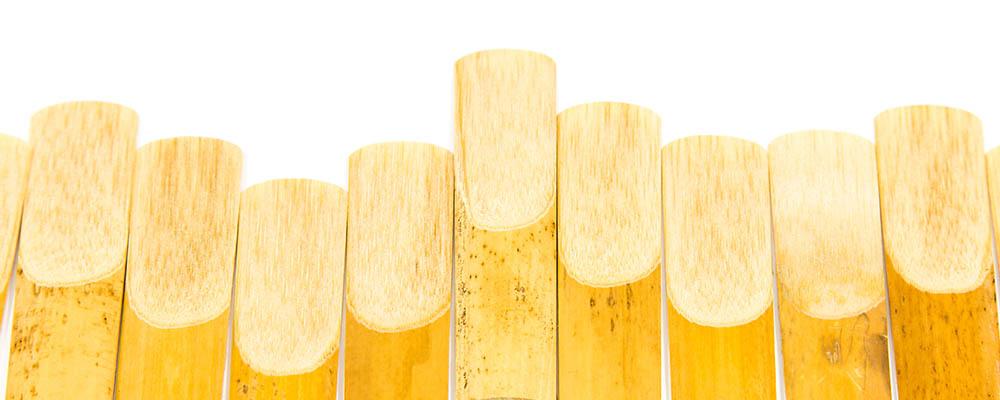 Reeds for Dummies | Buying Reeds | Normans News