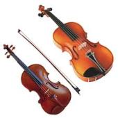 Violin Vs Viola