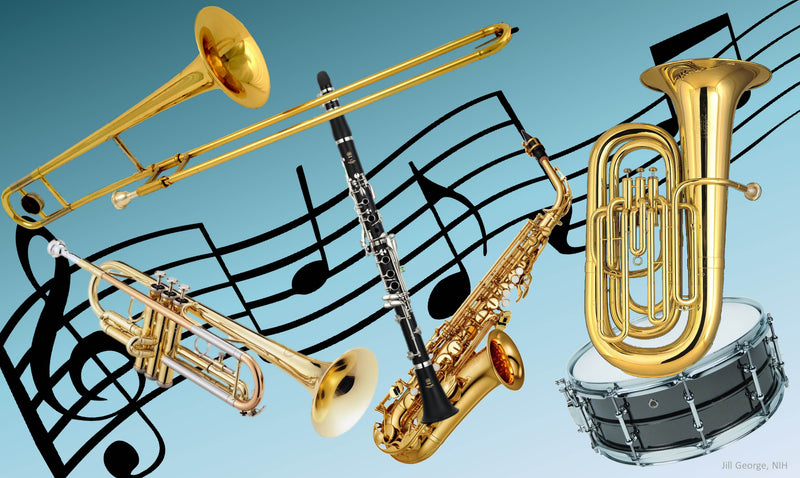 What Your Instrument Says About You | Normans Blog