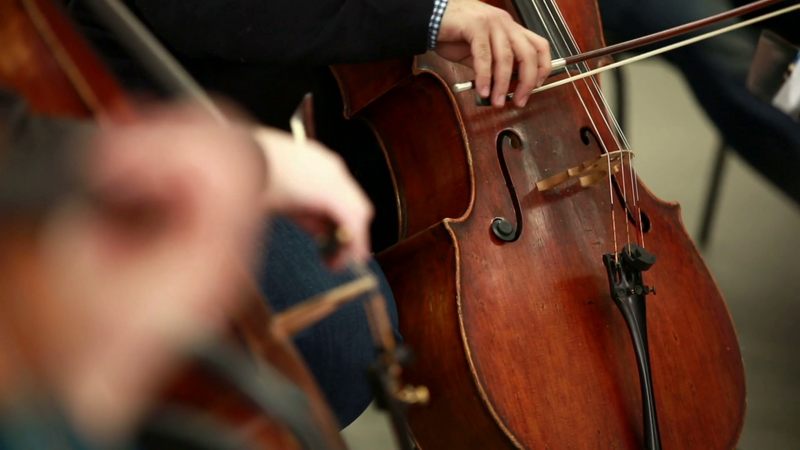 Top 3 Cellos For Beginners | Normans Blog
