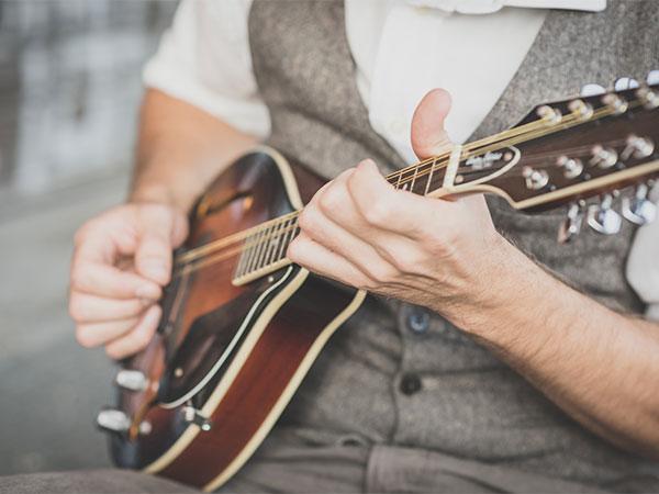 mandolin