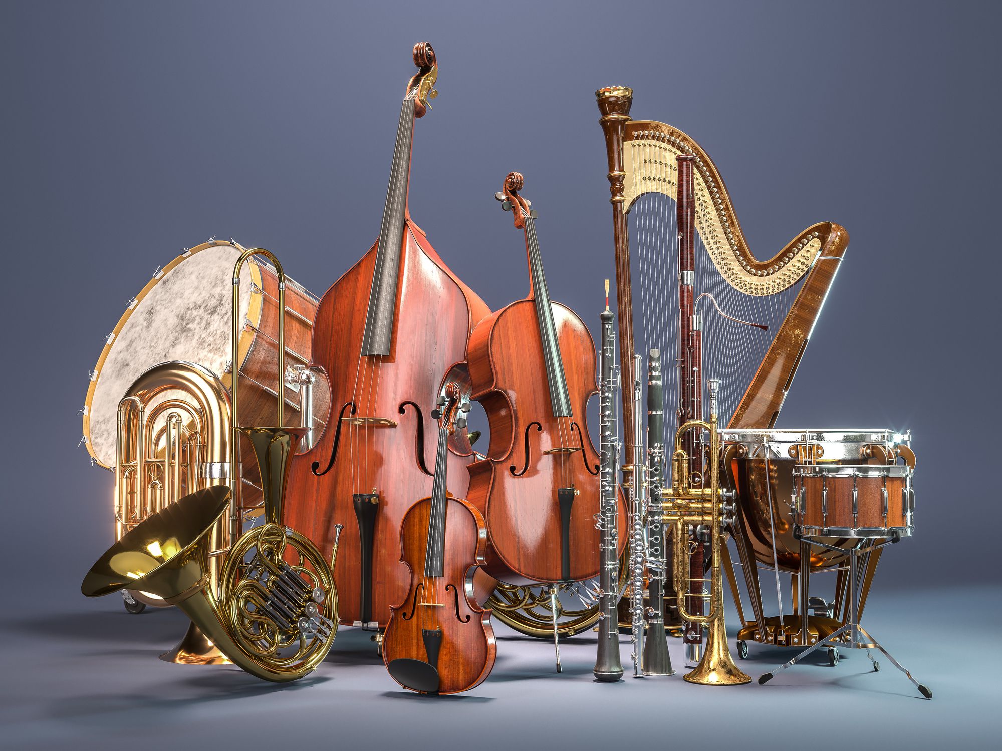 Top Instruments What is the Best Instrument to Learn? | Normans Blog