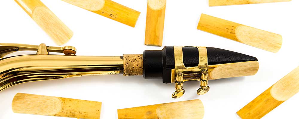 Single Reed Instruments