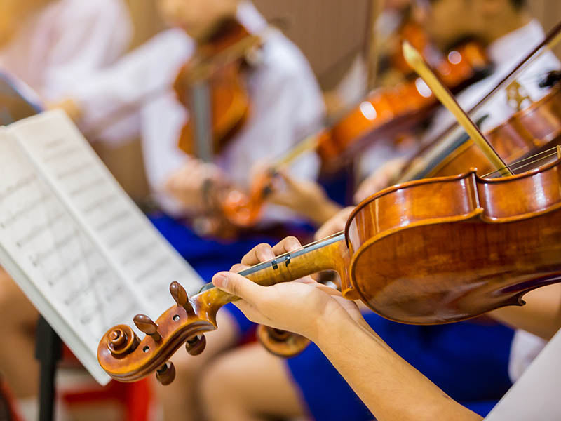 String Instruments for Secondary Schools