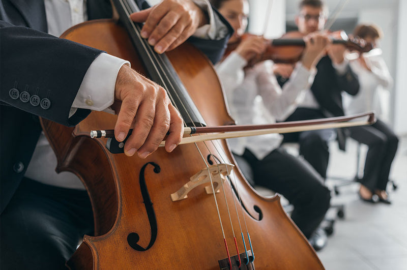 Musical Terms Glossary - Strings | Normans Blog