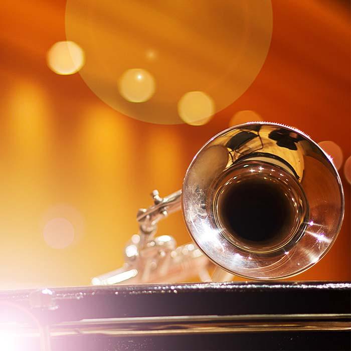 Instruments of the Trumpet Family