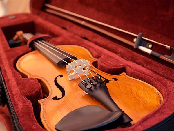 Which Violin Case is Best?