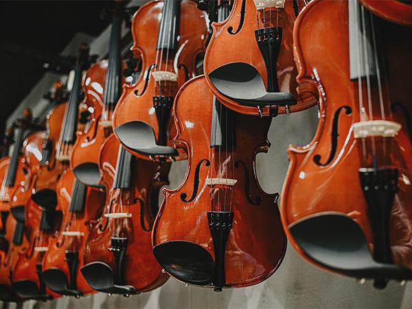 violin