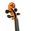 Stentor 1018 Standard Violin Outfit - 1/2 Size