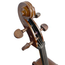 Stentor I 1102 Student Cello - 1/4 Size