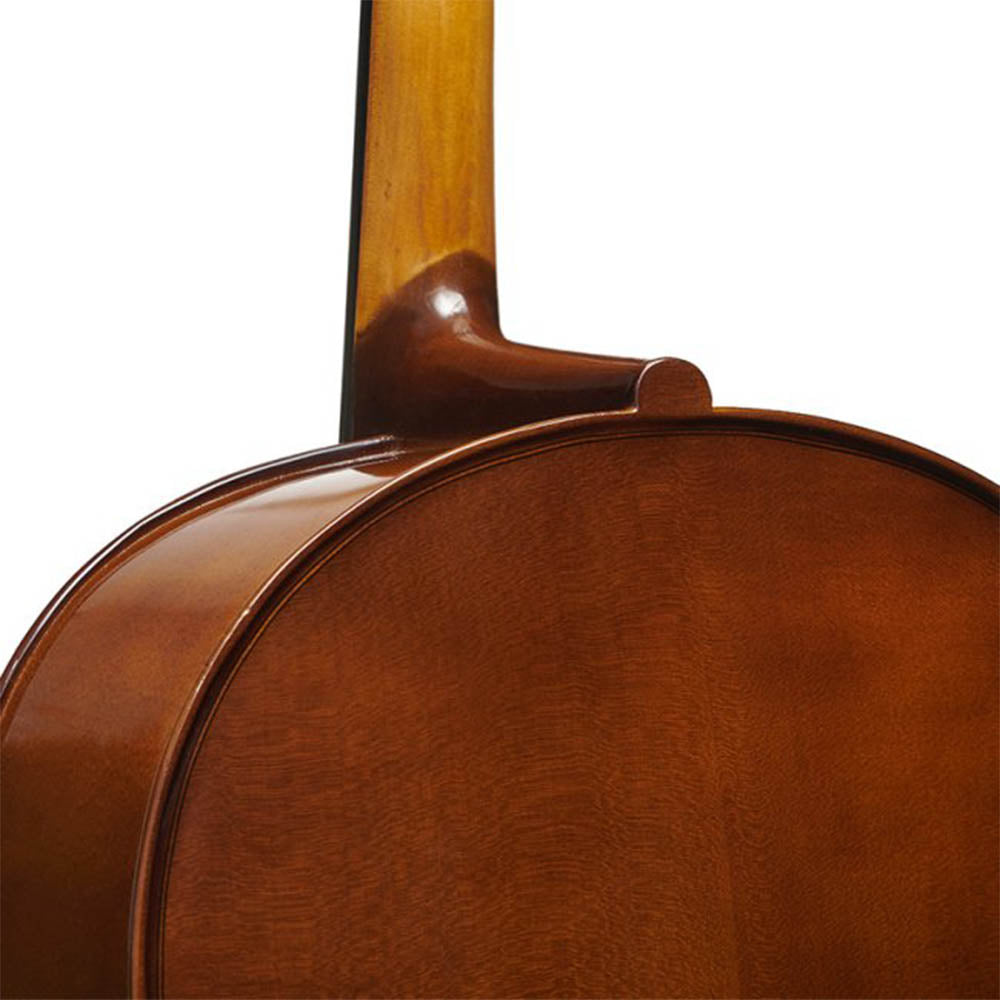 Stentor II 1108 Student Cello - 1/2 Size