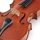 Stentor Conservatoire 16 inch Student Viola Outfit