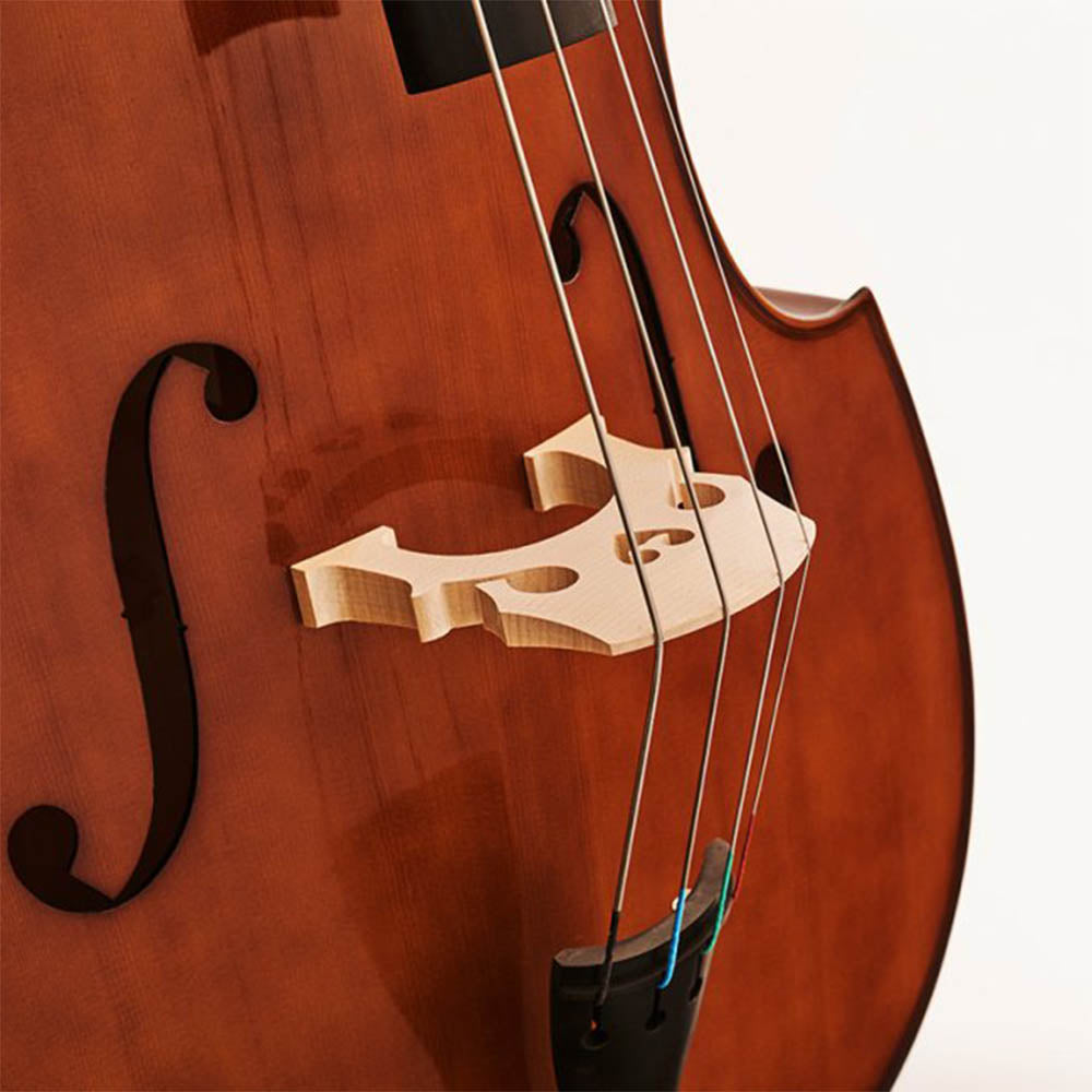 Stentor Student 1950 Double Bass Outfit - 3/4 Size