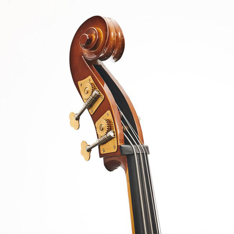 Stentor Student 1950 Double Bass Outfit - 1/4 Size