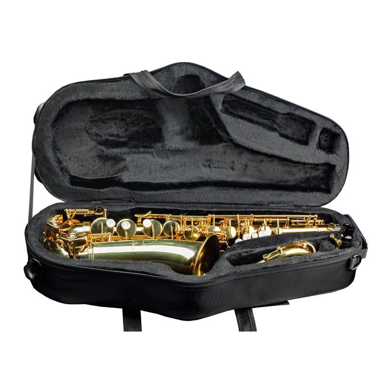 Trevor James Alphasax Alto Saxophone Outfit - Lacquer