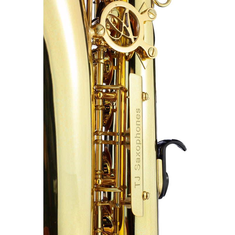 Trevor James Alphasax Alto Saxophone Outfit - Lacquer