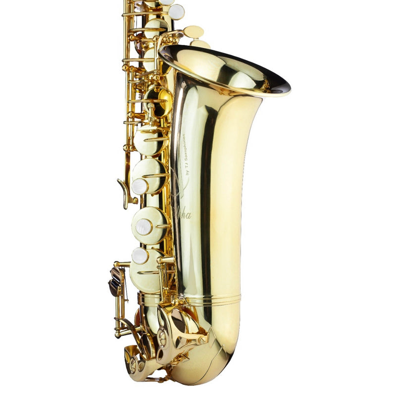 Trevor James Alphasax Alto Saxophone Outfit - Lacquer