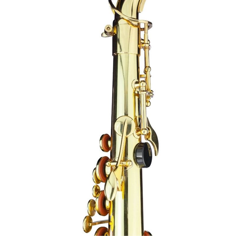 Trevor James Alphasax Alto Saxophone Outfit - Lacquer
