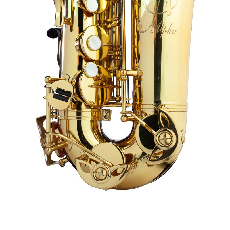 Trevor James Alphasax Alto Saxophone Outfit - Lacquer