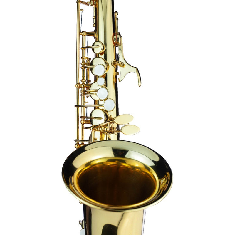Trevor James Alphasax Alto Saxophone Outfit - Lacquer