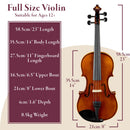 Forenza Secondo Series Violin - Full Size