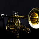 John Packer JP071 Bb Cornet