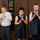 A-Star Descant Plastic Colour Recorder Pack