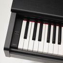 Yamaha YDP105 Digital Piano